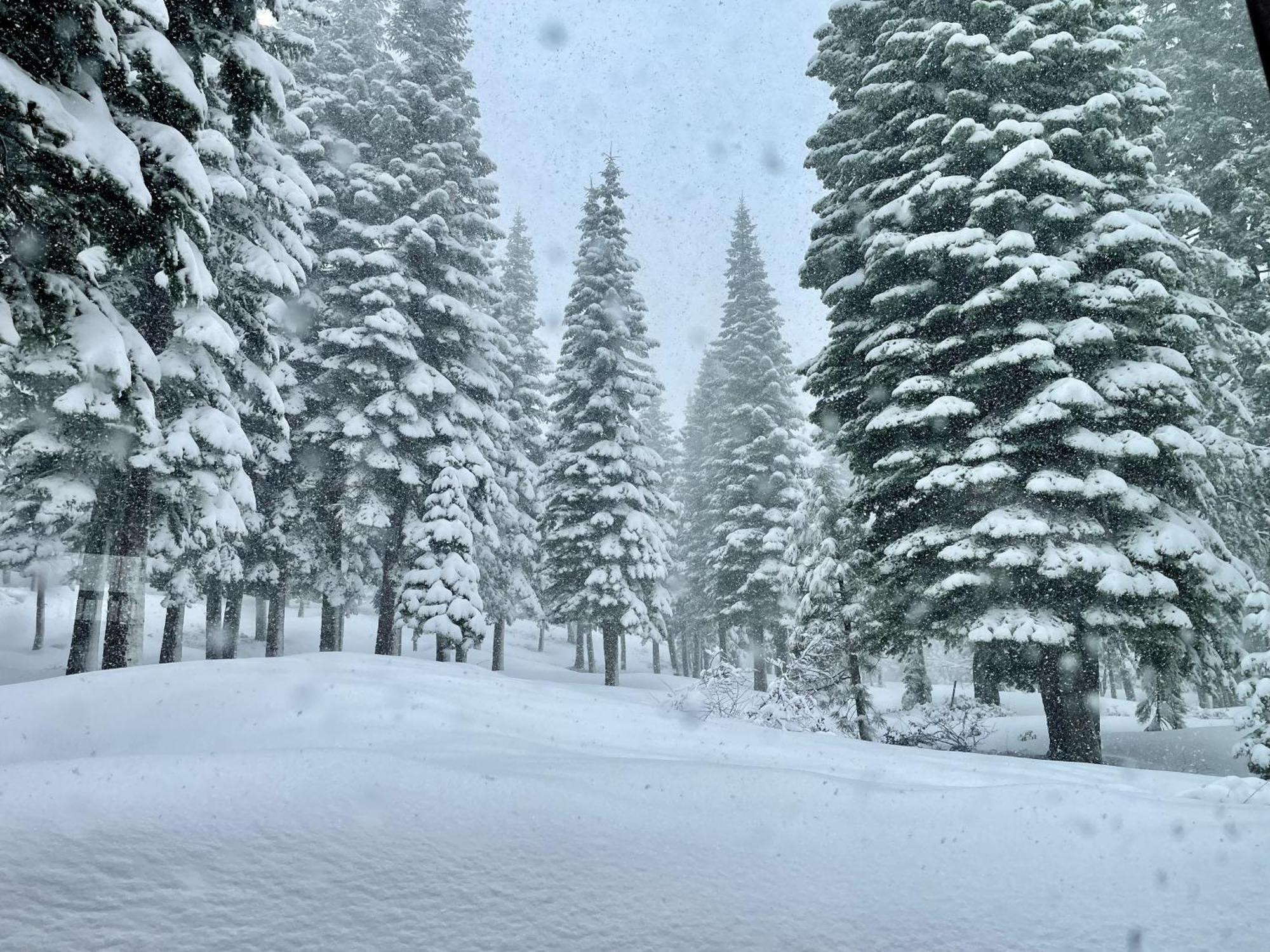 Bear Meadows Lodge - Hot Tub - Tahoe Donner Home Truckee Buitenkant foto